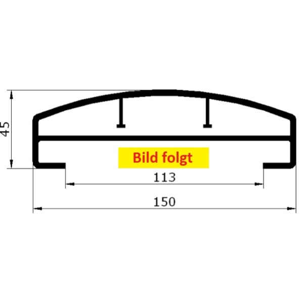 Handlauf T (150x45) - Douglasie - L= ca.20cm - Musterstück PVC