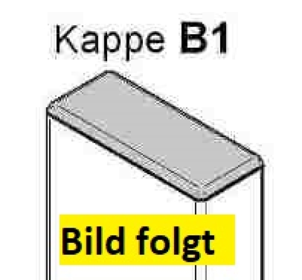 Kappe B1 - (60x25) - flach - Dunkelgrün  (ähnlich RAL 6009) PVC